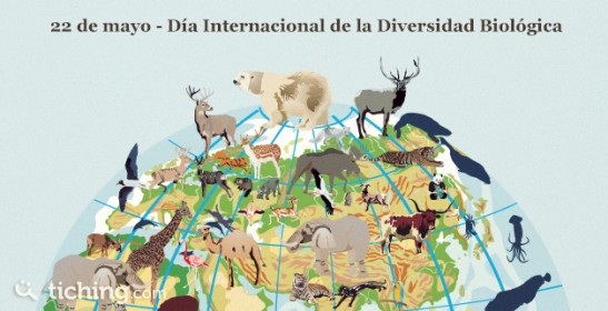 Diversidad Biologica | Tiching